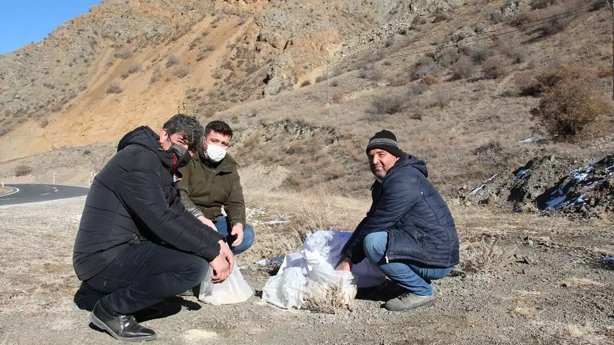 İki arkadaş doğadaki kuşları unutmadı