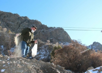 İki arkadaş doğadaki kuşları unutmadı