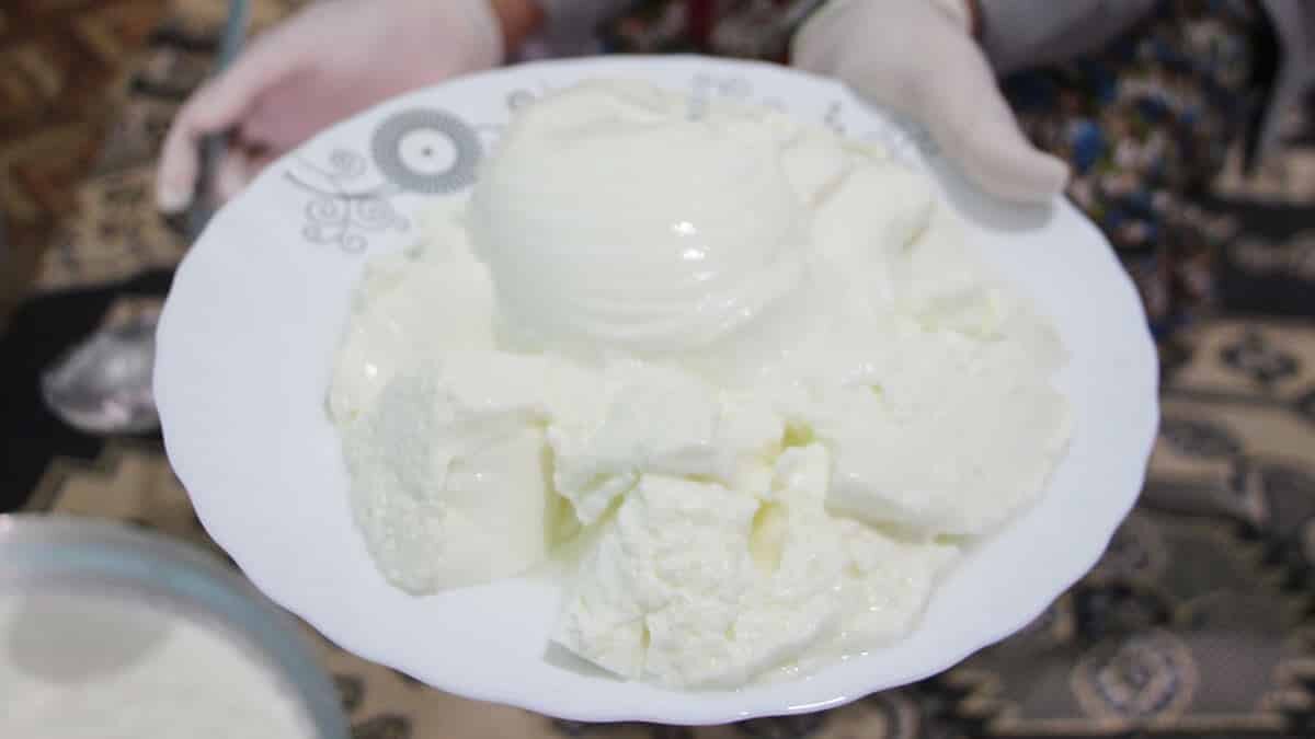 Isparta'nın Yalvaç ilçesinde manda üreticiliği, çok sayıda ailenin geçim kaynağı oldu.