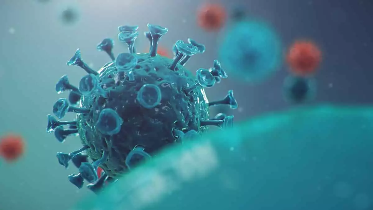 Koronavirus265 - dış haberler - haberton