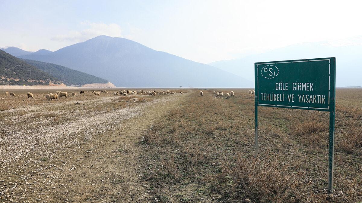 Antalya'da 850 hektar büyüklüğündeki Avlan Gölü’nde kuruyan alan, sulak alanın iki katı büyüklüğüne ulaştı. Kuruyan alan koyun ve keçi sürülerinin otladığı meraya dönüştü.