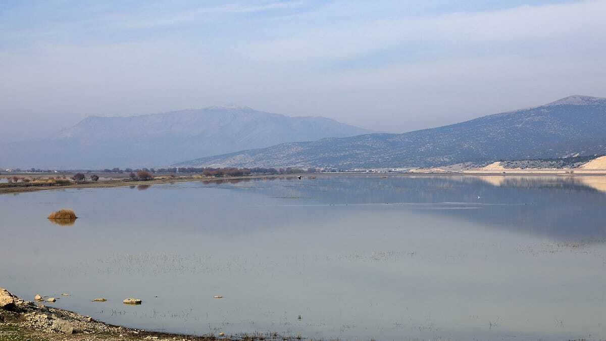 Avlan Gölü'nde kuruyan alan meraya dönüştü