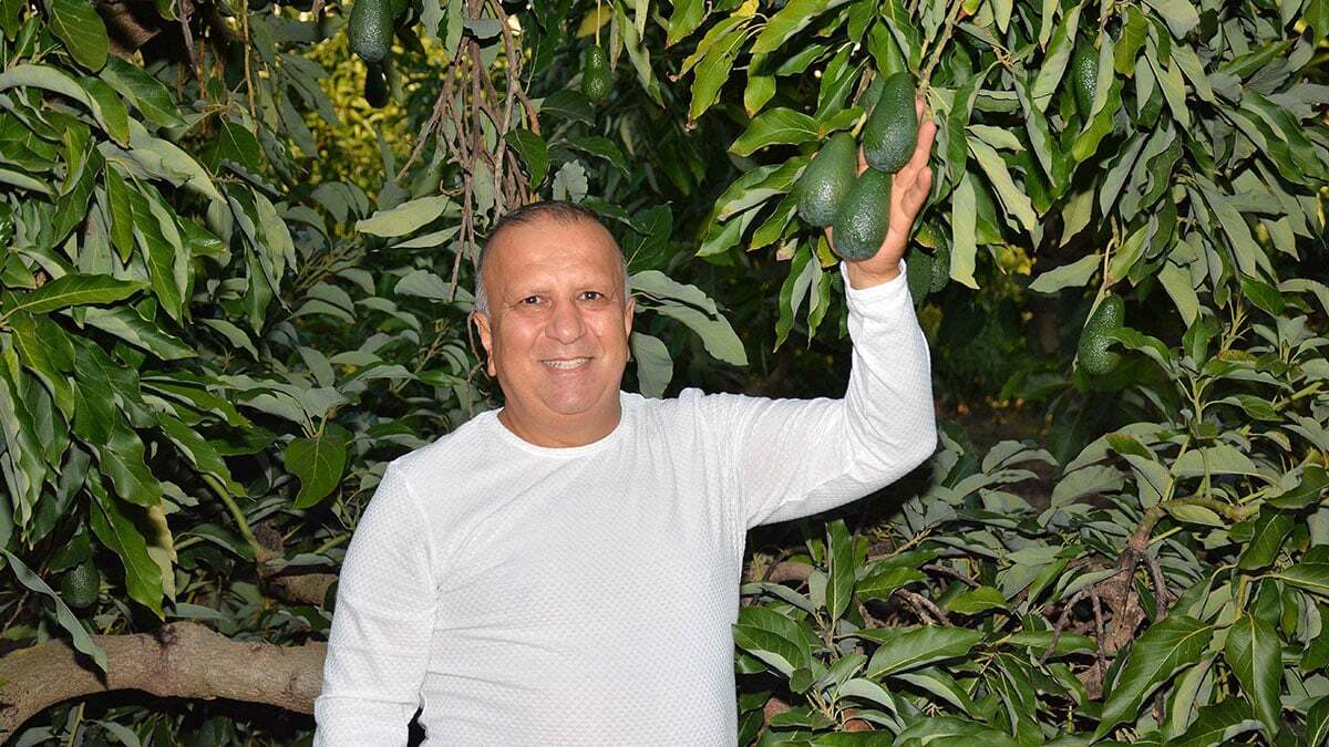Manavgat tropikal meyve üretiminin başkenti olacak
