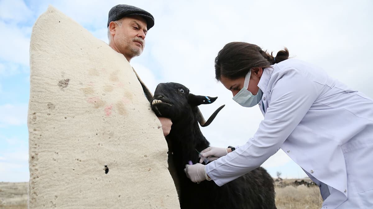 Hayvanlarda birçok hastalığa çok hızlı teşhis konulmasını sağlayan, 10 dakikada sonucunun alınabileceği cep telefonuna entegre mobil mikroskop geliştirdi.