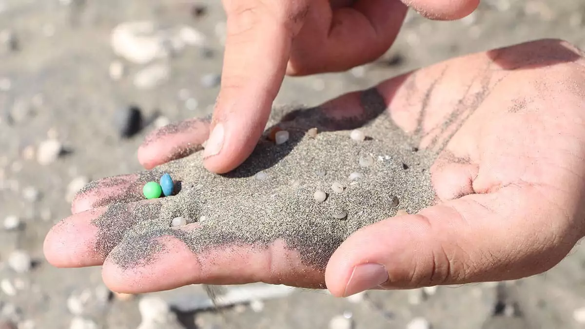 Gıdaların konulduğu tek kullanımlık plastik ambalajlarla binlerce mikroplastiğin vücuda alındığı belirtildi.