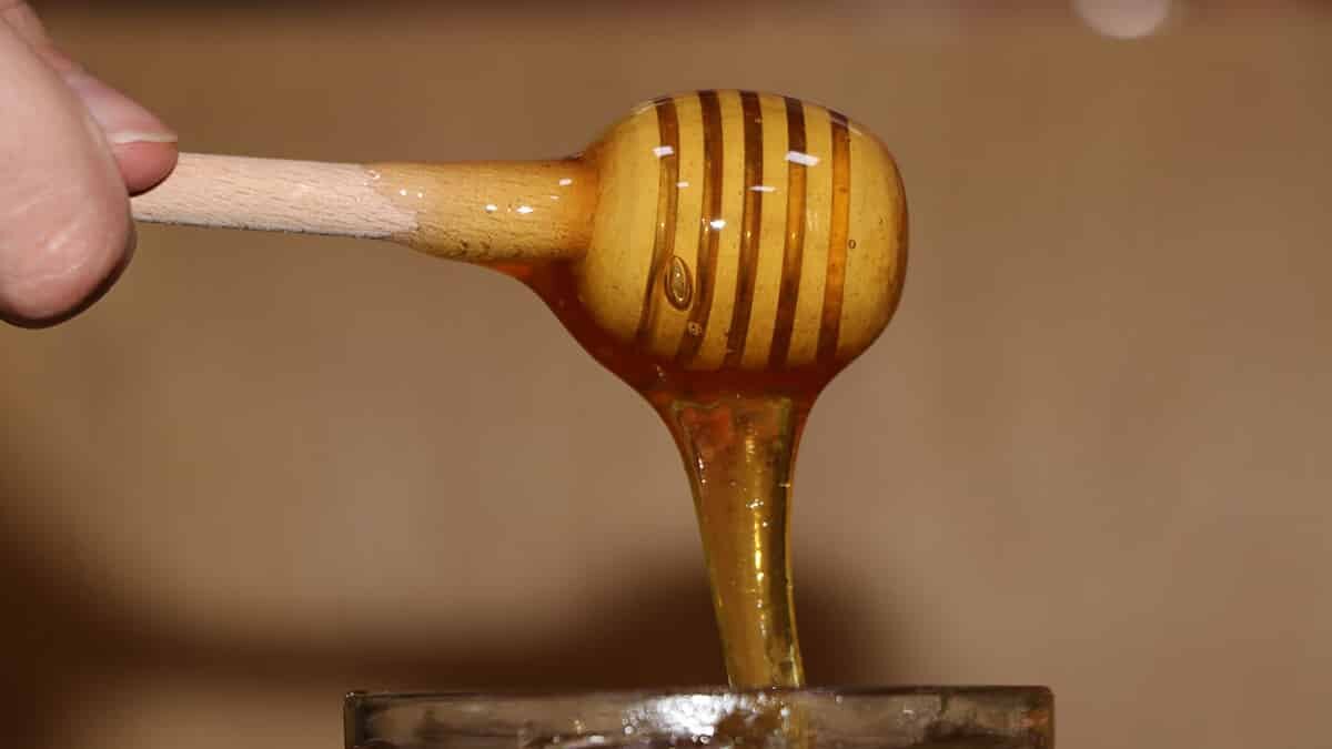 Pandemi döneminde arıcılık yapmaya karar verdi