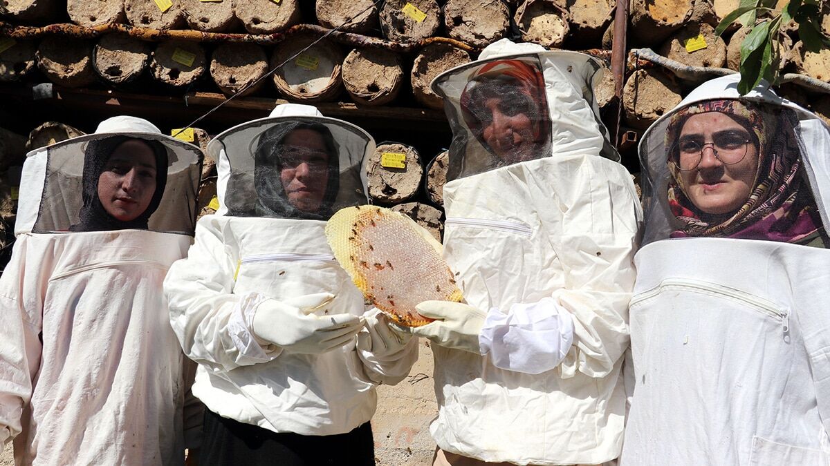 Pandemi döneminde arıcılık yapmaya karar verdi