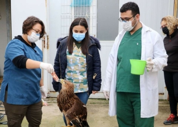 Eve gitmeyen öğrenciler, yaban hayvanlarına bakıyor