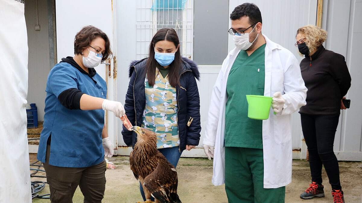 Eve gitmeyen öğrenciler, yaban hayvanlarına bakıyor