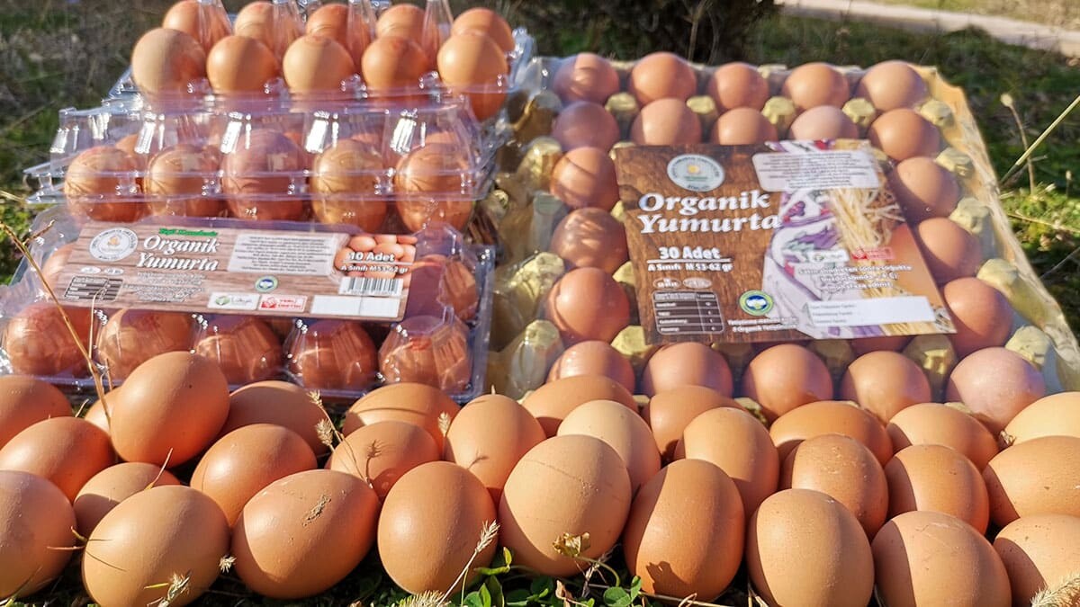 Siparişlerin yüzde 80'ini kendileri karşılayan birlik, kalan miktarı ise il genelinde faaliyette olan üreticilerden temin ediyor.