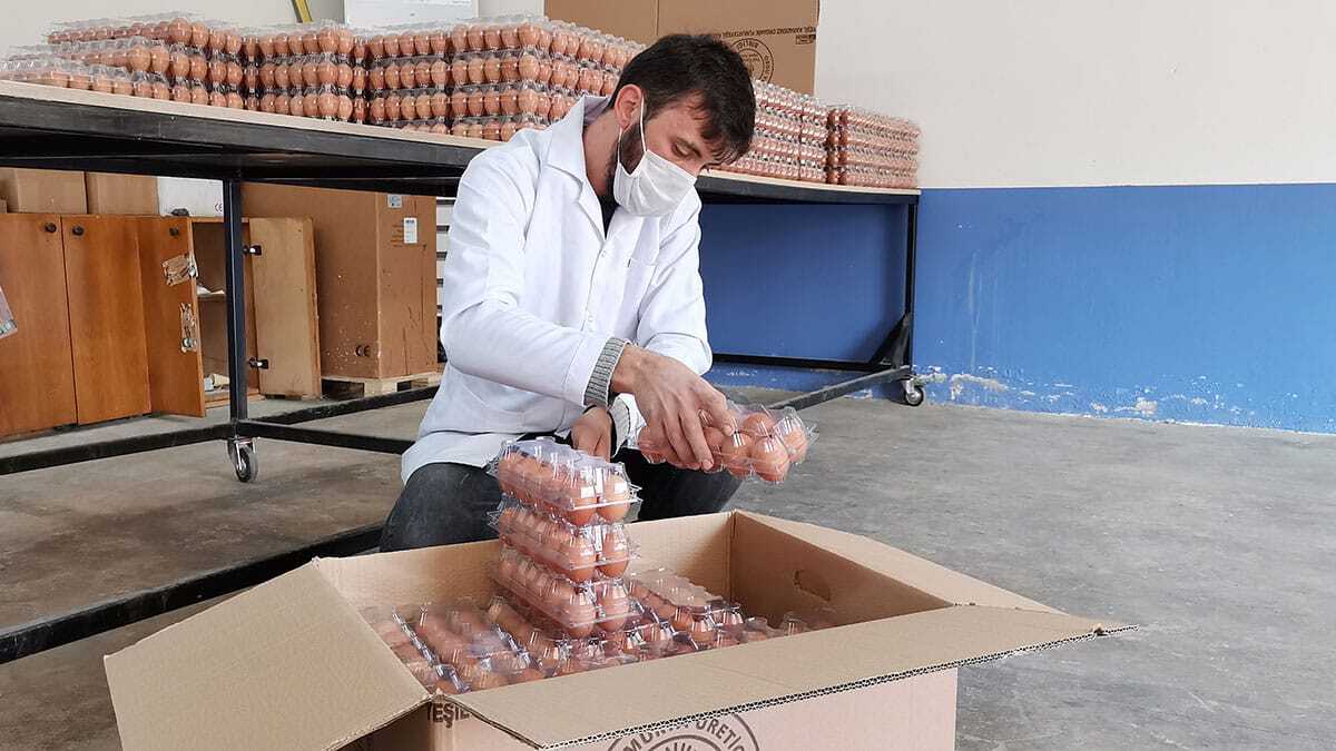 Koronavirüs salgınında yüksek protein değeri ve besleyici özelliğiyle kahvaltıların vazgeçilmezi olan organik yumurtaya talep yüzde 100 arttı.