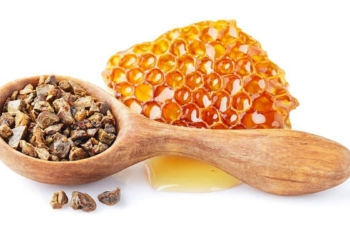 Propolis doğal kalkandır