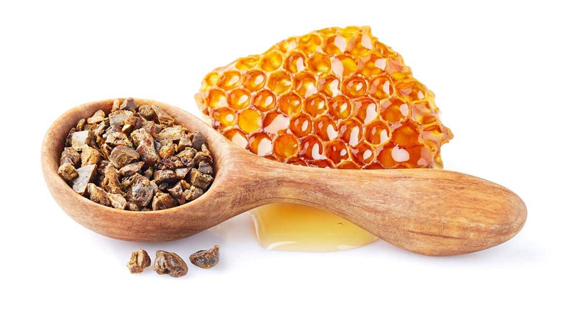 Propolis doğal kalkandır