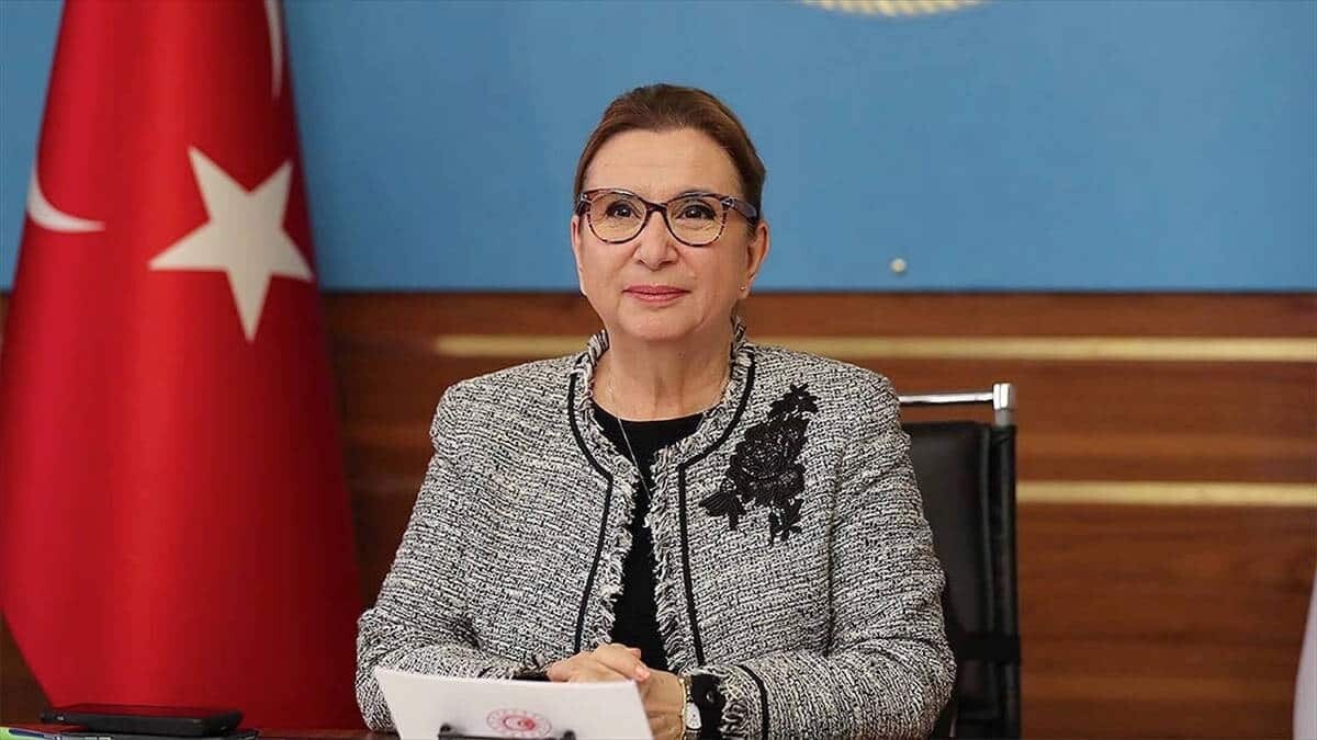 Operasyonlarda 9.7 ton uyuşturucu madde ele geçirdik