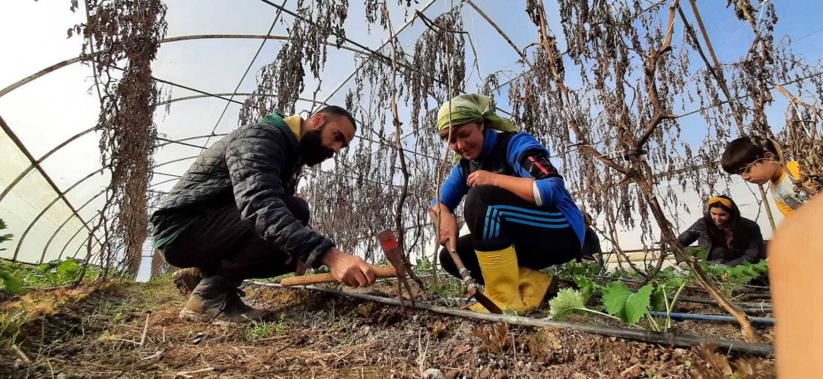 Alsan çifti köyde organik tarım ve hayvancılık yapıyor