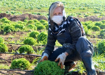 Sığınmacı kadın çiftçiler 11 çeşit ürün yetiştiriyor