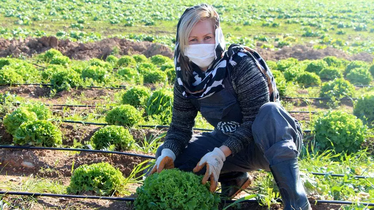 Sığınmacı kadın çiftçiler 11 çeşit ürün yetiştiriyor
