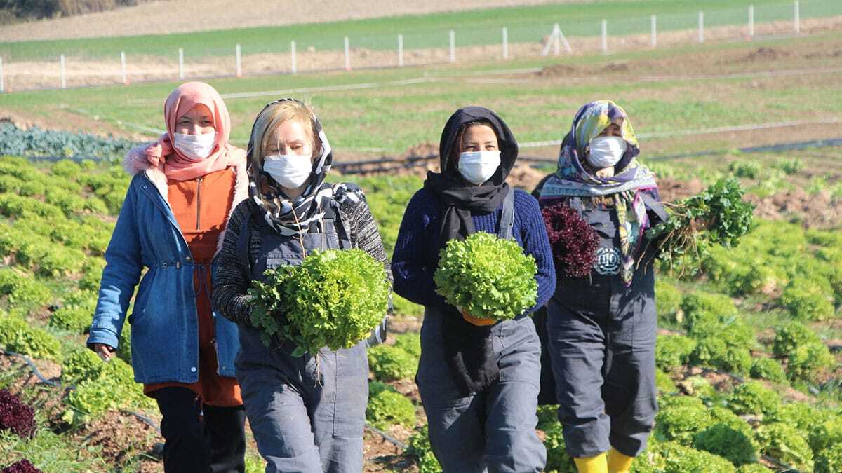 Sığınmacı kadın çiftçiler 11 çeşit ürün yetiştiriyor