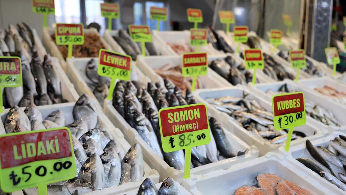 Tüketici ucuz balık beklemesin