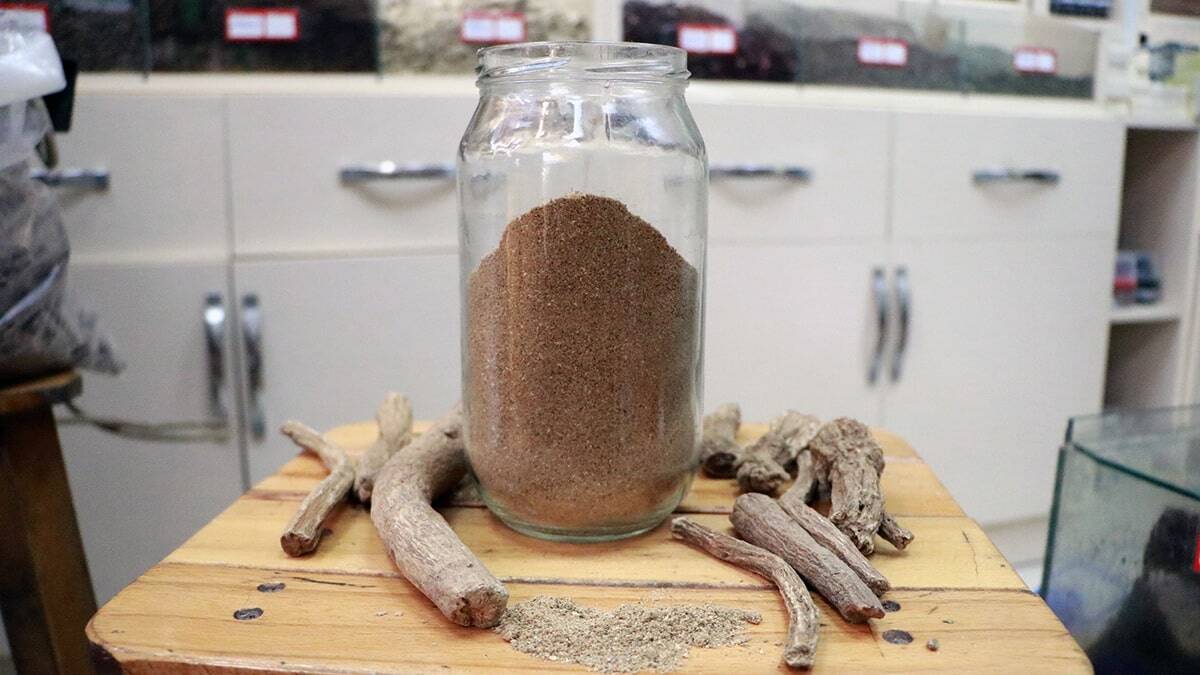 Udi Hindi bitkisine rağbet arttı