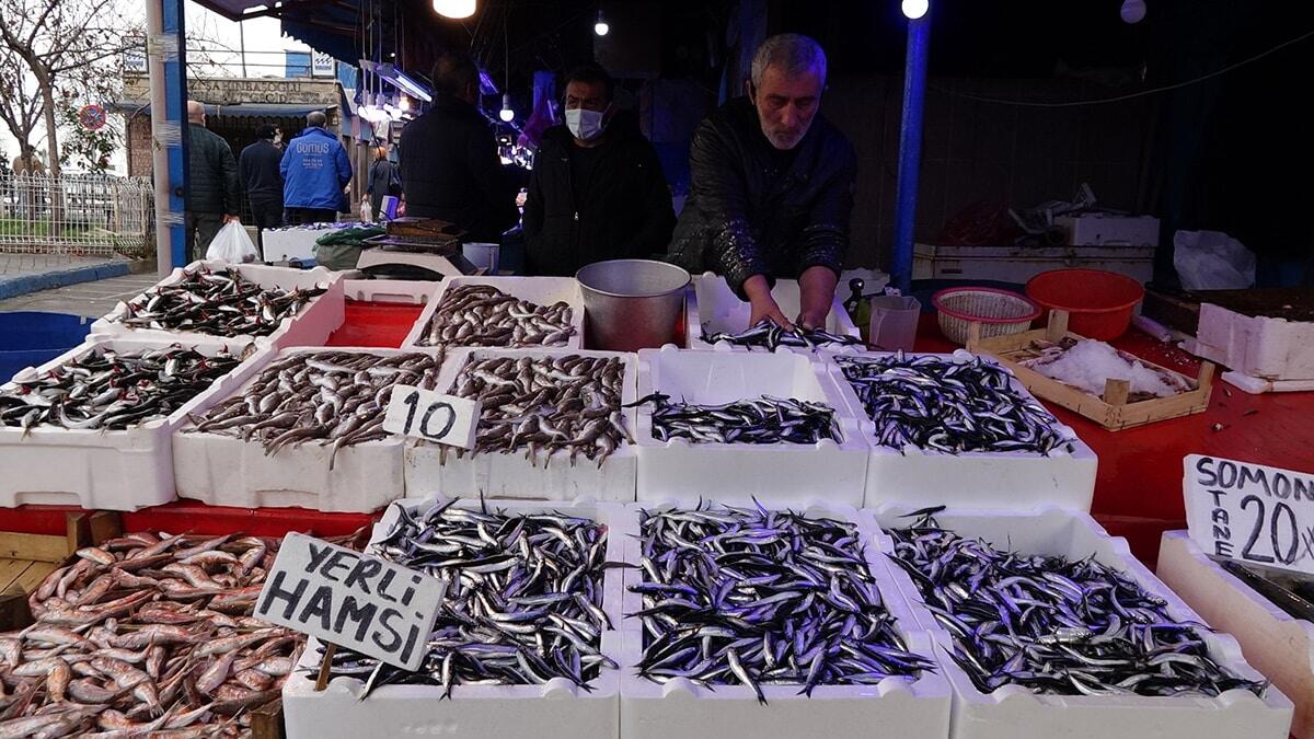 Uzmanlar, ergin boyutlara ulaşmadığı için üreyemeden avlanan "hamsinin nesli tükenebilir" uyarılarında bulunuyor.