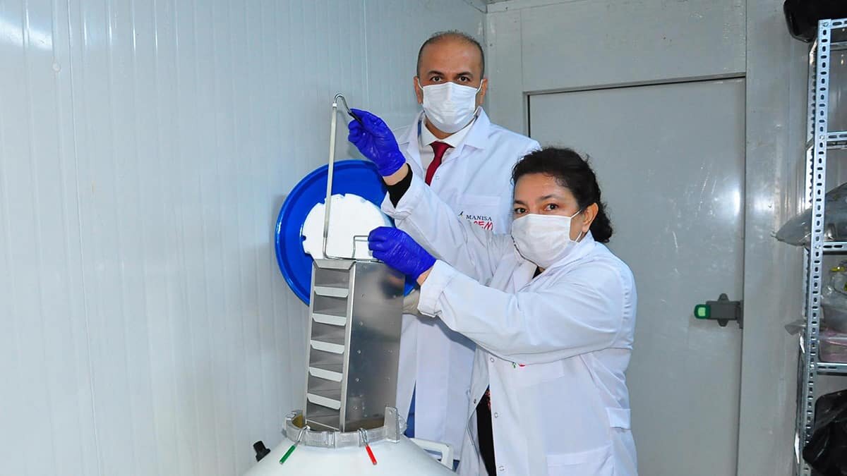 Üzüm geni, eksi 196 derecede geleceğe taşınıyor