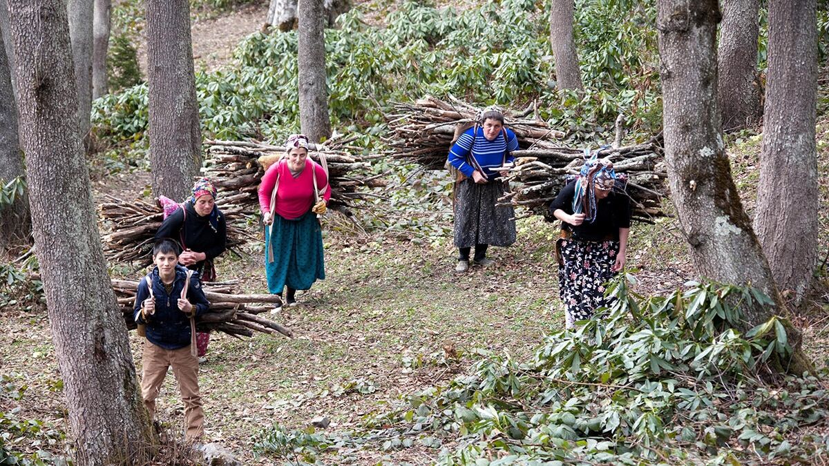 Kışın ağaçlarda çiçek ve meyvelerin filizlendiğini görenler şaşkına dönerken, arıların erken açan çiçeklerdeki çalışması da ilgi odağı oldu.