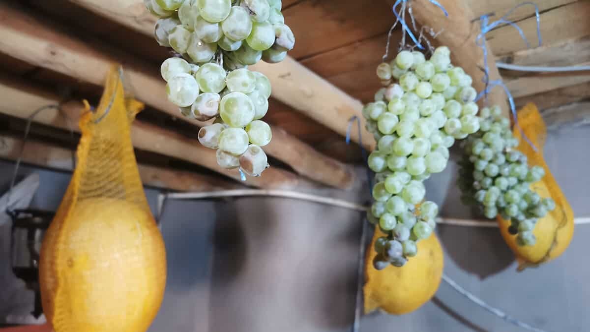 Kış kavunları depolarda aynı tazeliğini koruyor