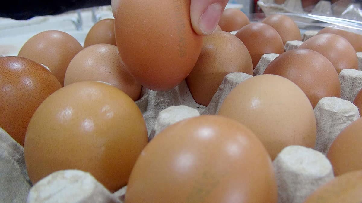 Koronavirüs salgınının etkileriyle yumurtada üretimin düşmesi, buna karşılık iç talebin artması fiyatlarda artışa yol açtı.