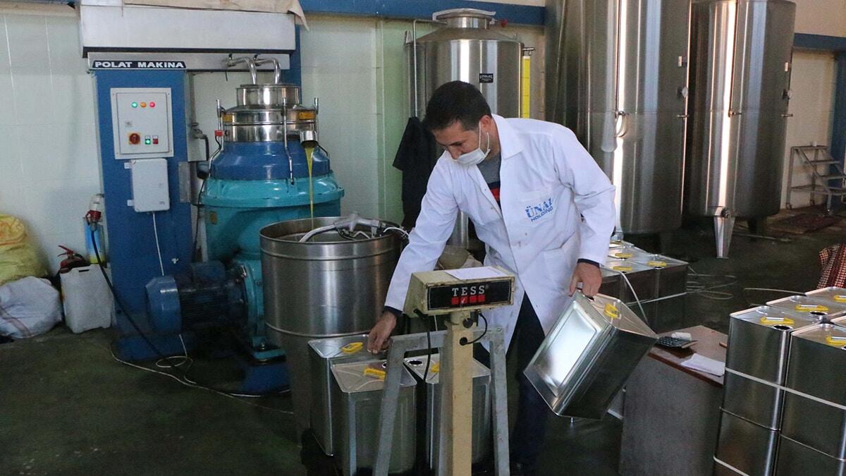 Zeytinyağında hileye dikkat