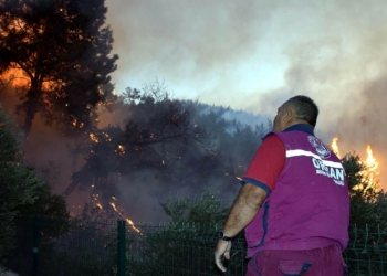 29 bin 487 futbol sahası büyüklüğünde orman yandı