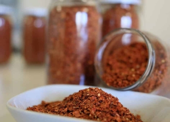 Şili biber Şanlıurfa'nın isot biberine rakip