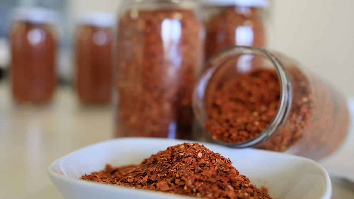 Şili biber Şanlıurfa'nın isot biberine rakip