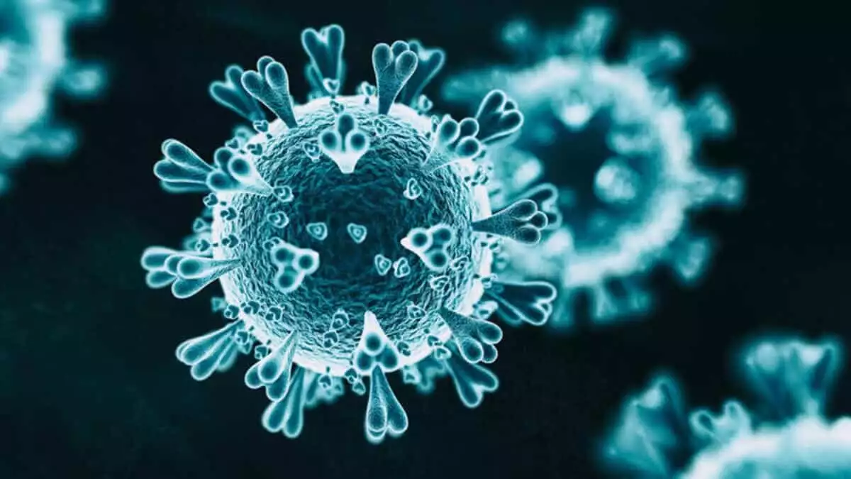 Özlü: mutasyonlu virüste izole edilen kişi sayısı artıyor