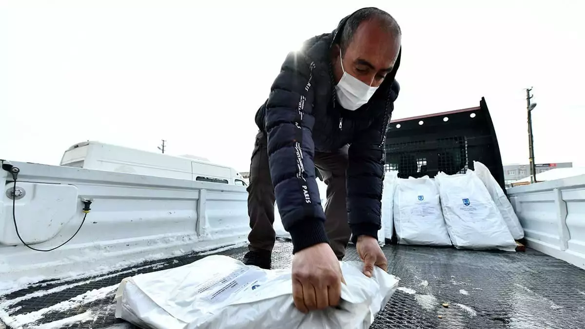 Büyükşehir, başkent’te yaşayan sokak hayvanları için sivil toplum kuruluşları, ilçe belediyeler ve gönüllü hayvan severlerle iş birliği yapıyor.