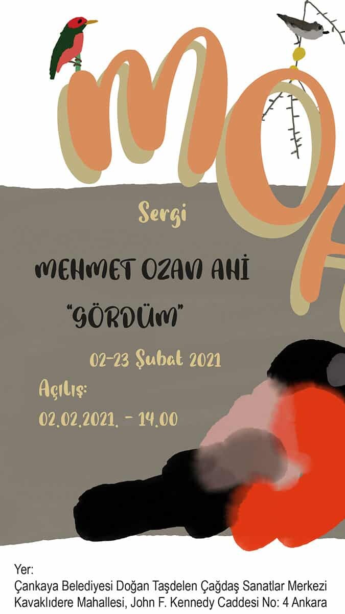 Kuşları gördüm, insanları, kırmızı kitabı, tavşanları…” diyen Ahi'nin sergisi dijital dünyada otizmi ve sanatı bir araya getiriyor.
