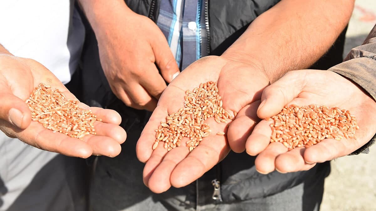 Tarımsal destek başvuruları elektronik ortamda