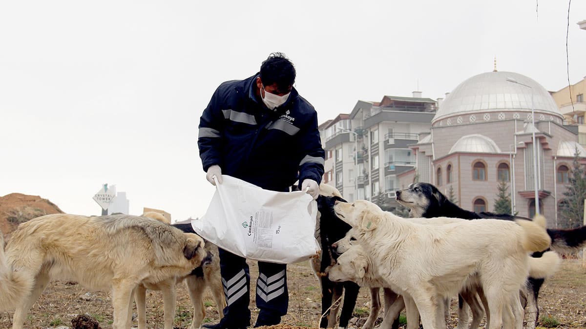 Soğuk kış günlerinde can dostlarımız unutulmadı