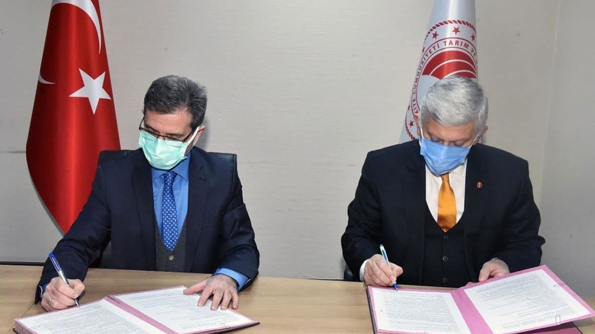 Kedi ve köpeklerin kimliklendirilmesi zorunlu olacak