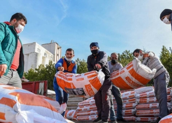 Başkentli çiftçilere kırmızı mercimek tohumu desteği