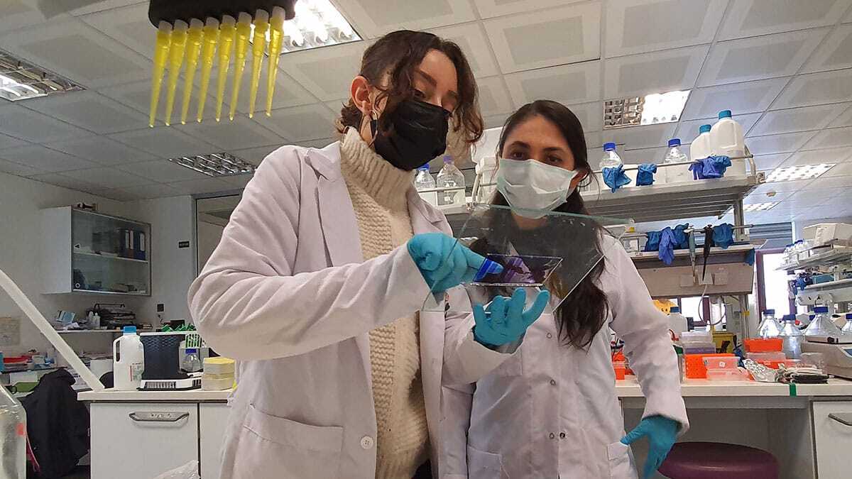 Moleküler Biyoloji ve Genetik Bölümü Başkanı Prof. Dr. Nesrin Özören ve ekibinin TÜBİTAK ve Sanayi Bakanlığı’nın desteğiyle 10 aydır gece gündüz üzerinde çalıştıkları yerli Kovid aşısında, bu teknoloji kullanılacak.