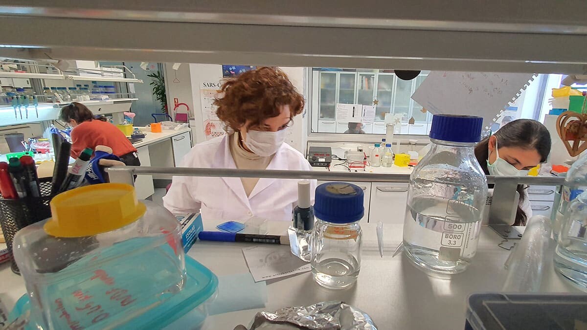 ASC Mikrokürecik aşısı ilk insan deneyleri yaz başında