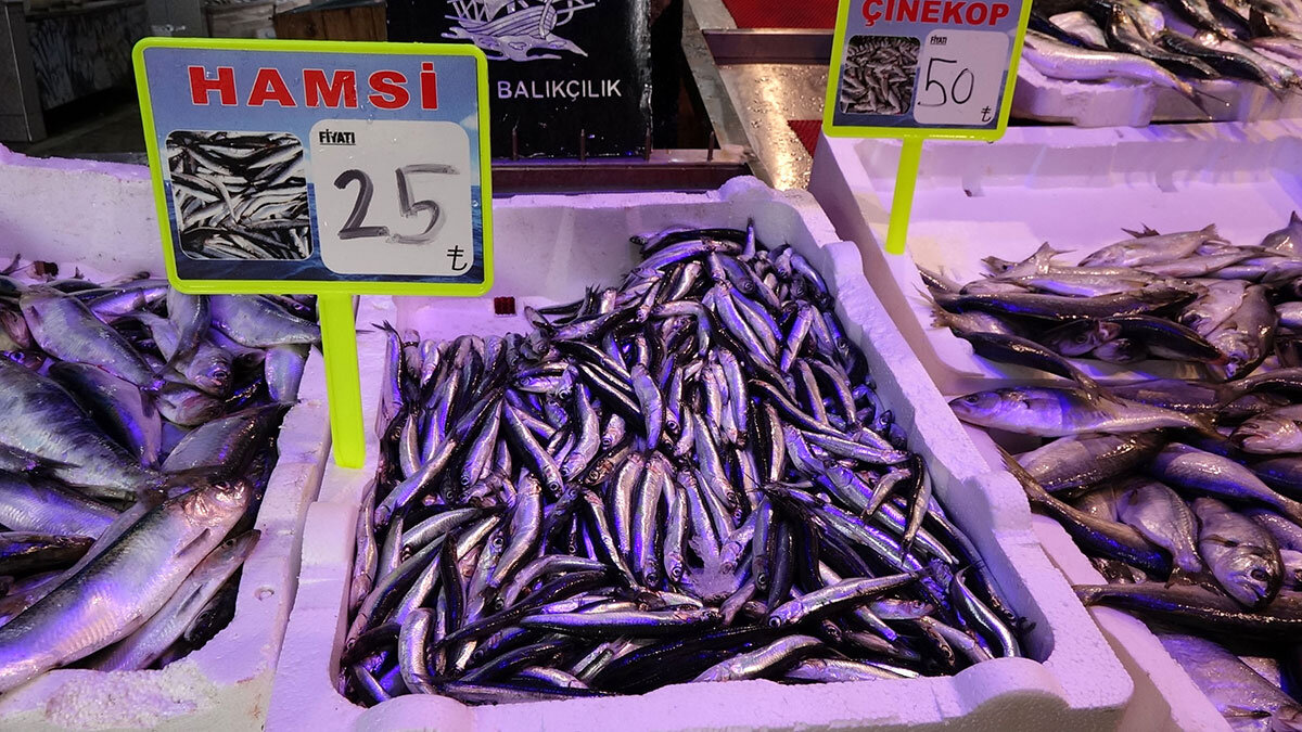 Avı yeniden başlayan hamsi tezgâhta 25 lira