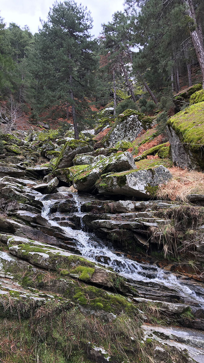 Bozulmamış bitki örtüsüyle doğa severleri bekliyor