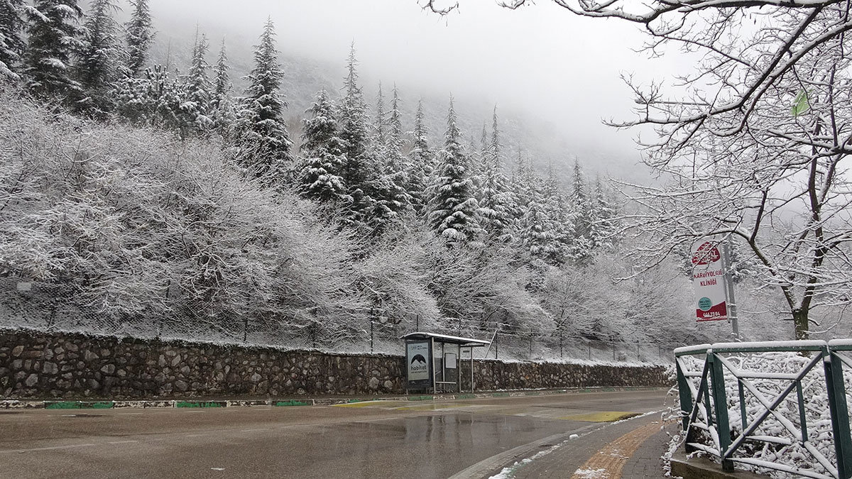 Bursa'da kar yağışı etkili oldu