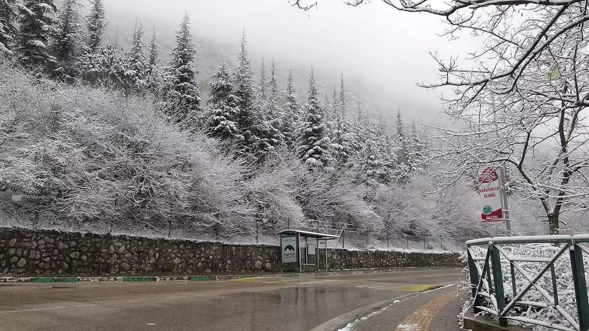 Bursa'da kar yağışı etkili oldu