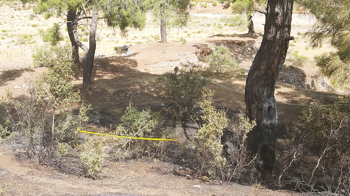 Boğduktan sonra cesedin yanması için ormanı yakmış