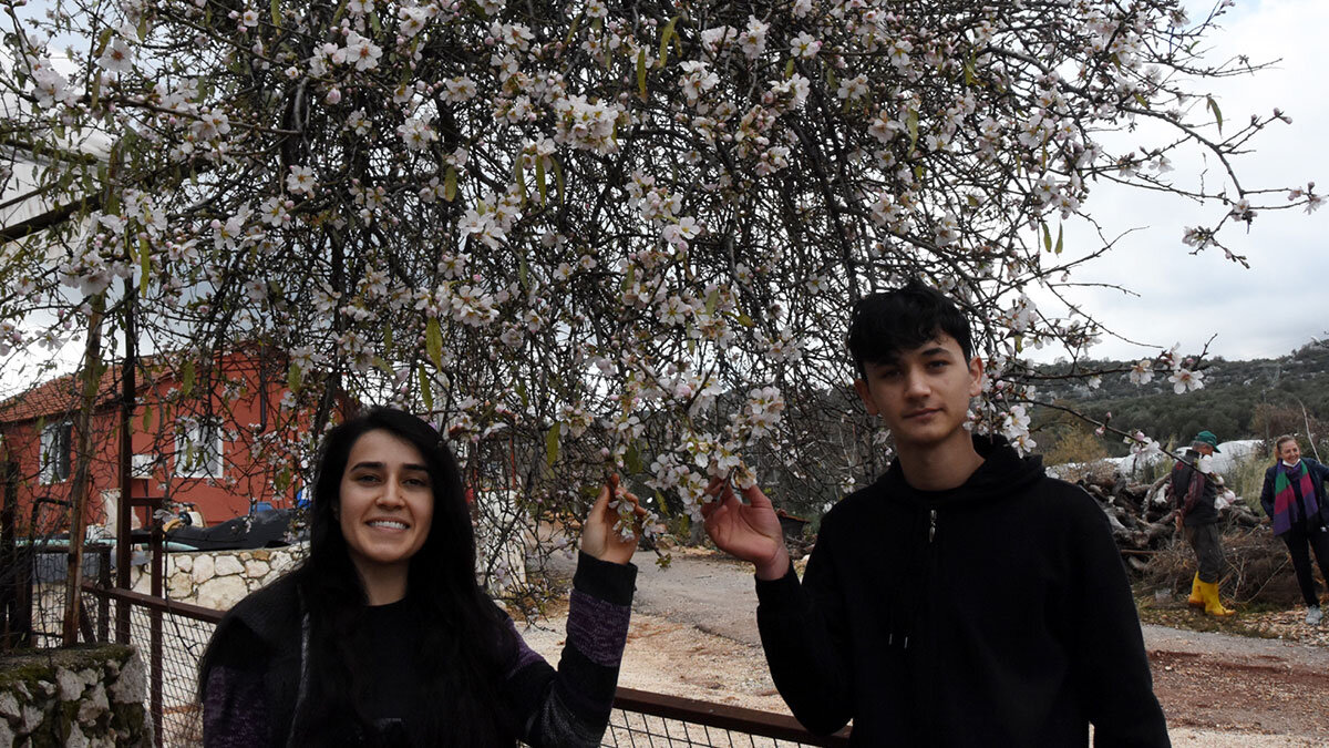 Antalya'nın Demre ilçesinde sıcak havaya aldanıp, mevsimi şaşıran badem ve portakal ağaçları çiçek açtı.