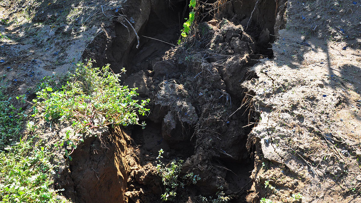 Prof. Dr. Hasan Sözbilir, Fay hattındaki hareket GPS'le izlendi 'Hareket sürekli var yıkıcı deprem yok' dedi.