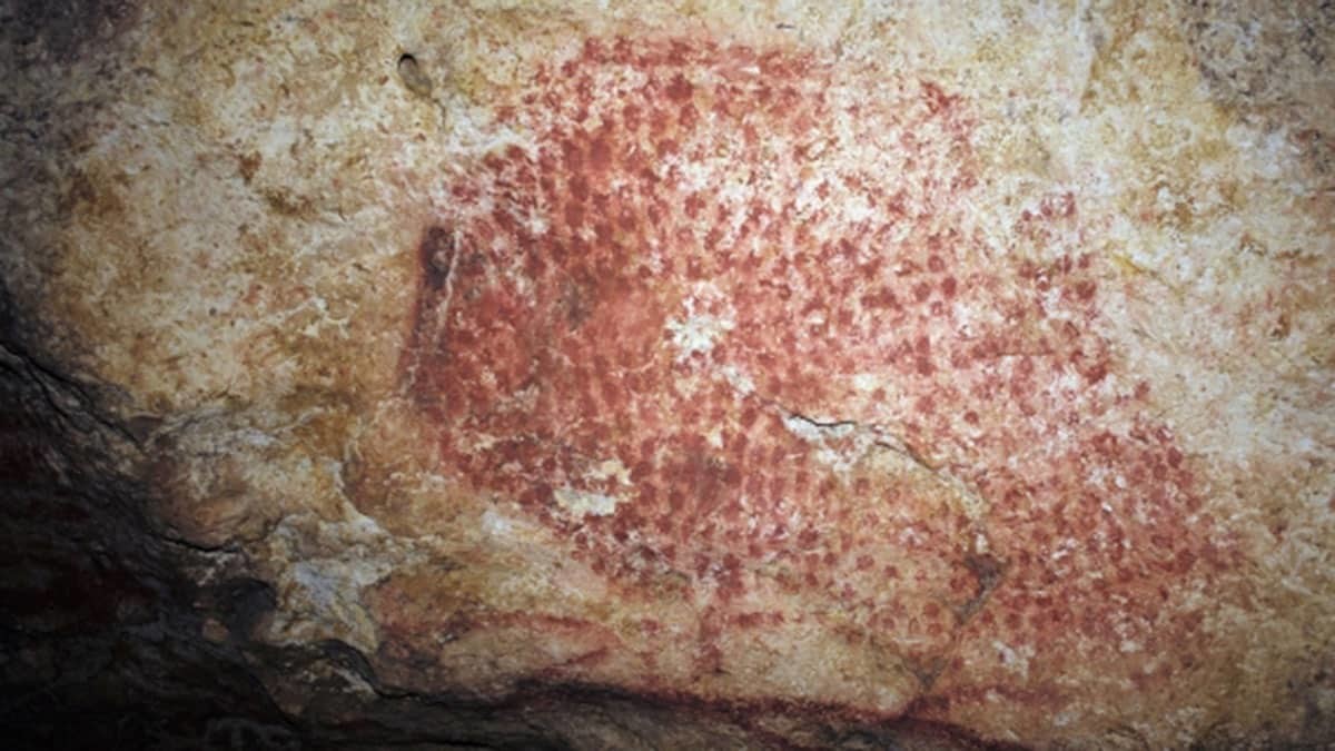 17 bin yıllık müzik aleti deniz kabuğu yeniden ses verdi